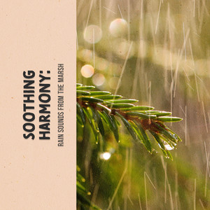 Soothing Harmony: Rain Sounds from the Marsh album