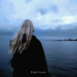 Fake Love by INSANEX, Loverofstar