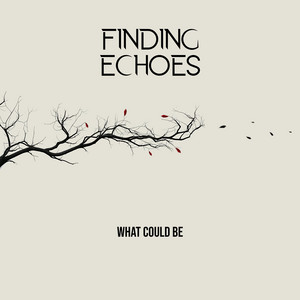 What Could Be by Finding Echoes