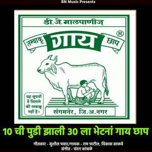 gay chap tobacco Buy online from Shivneri Shopping centre Buy    online