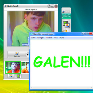(du gör mej) GALEN!! cover art