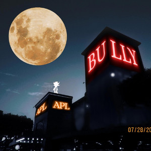 BULLY - version 1.0 by Apolo Luna