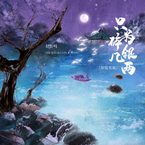 只为碎银几两 - 深情男版伴奏 by 好听吗