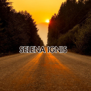 Shadows of Our Love by Selena Ignis