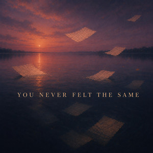 You Never Felt The Same by Revived Echoes
