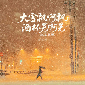 大雪飘啊飘酒杯晃啊晃 (Dj合唱版)