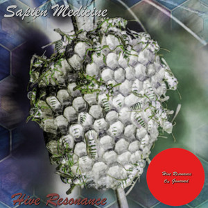 sapien medicine glutathione Research Labs Liposomal Supplement, 120 Softgels, Enhanced Absorption, Detox Support Sapien Medicine | Spotify
