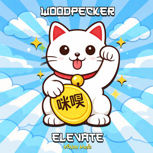 Elevate by Woodpecker