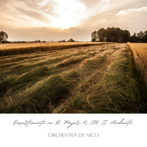 Divertimento No. 1 in D Major, K 136: Andante
