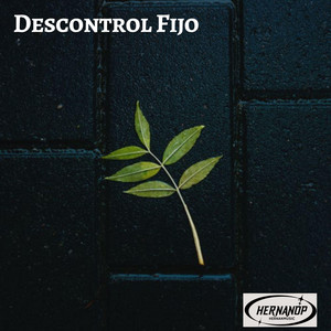 Descontrol Fijo by HernanOP