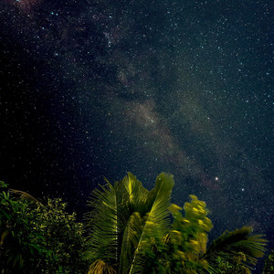 Palmsky by EddiWho