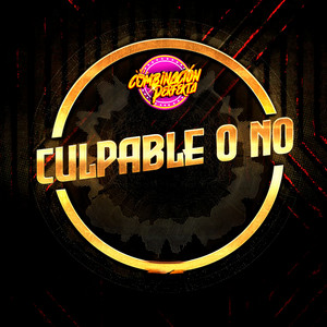 Combinación Perfekta - Culpable o No