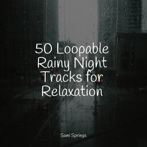 50 Loopable Rainy Night Tracks for Relaxation album