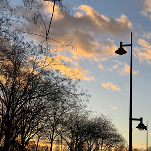 Rayan H - The Birds, Pt. 2