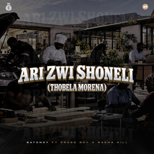 Ari zwi shoneli by Batondy