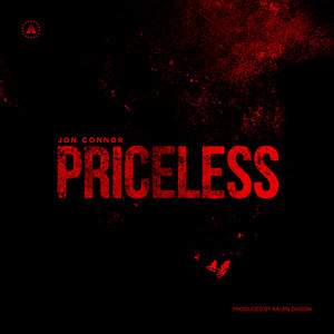 Priceless by Jon Connor