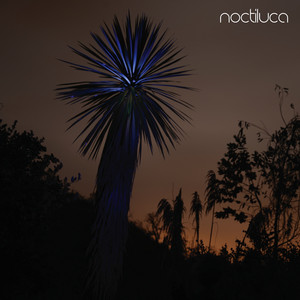 Noctiluca cover