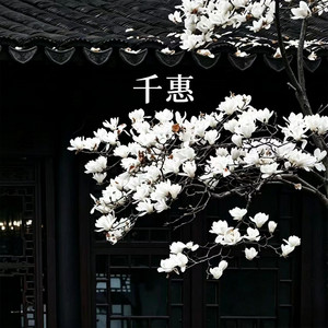 千惠 by 玉婵yusician