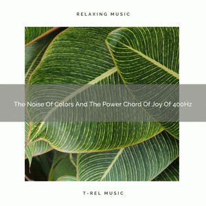 The Noise Of Colors And The Power Chord Of Joy Of 400Hz album