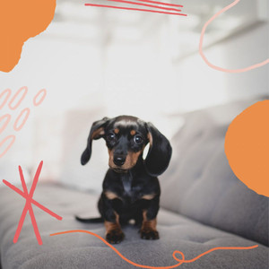 Backdrop for Doggy Rest album