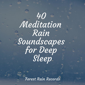 40 Meditation Rain Soundscapes for Deep Sleep album