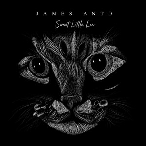 Sweet Little Lie by James Anto