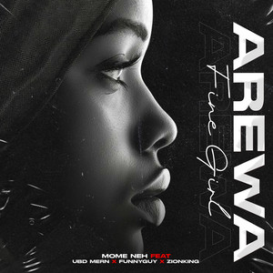 Arewa Fine Girl (feat. Ubd Mern, Funnyguy & ZionKing)