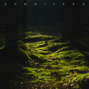 Resting (417hz) by Somnifera