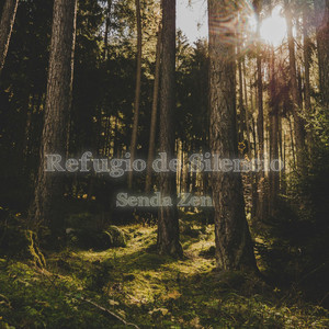 Refugio de Silencio by Senda Zen