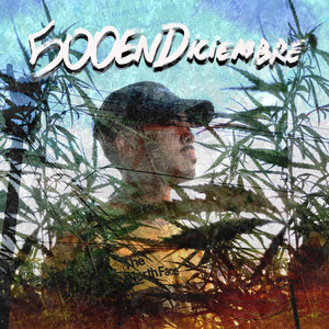 500 en Diciembre