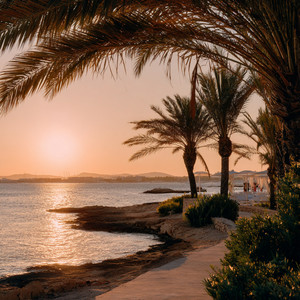 Tropical Evenings by Nilo Bay