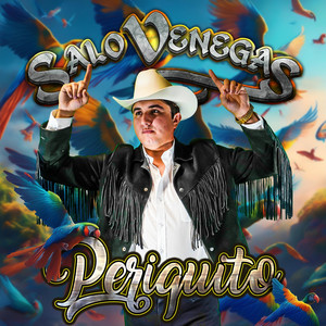 Salo Venegas poster