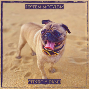 Jestem Motylem by Stinko, Pamii
