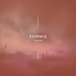 Tide Bones by Somniq