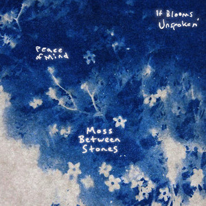 Moss Between Stones by It Blooms, Unspoken