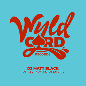 Rusty Organ - Robiin Remix by Dj Matt Black, Robiin