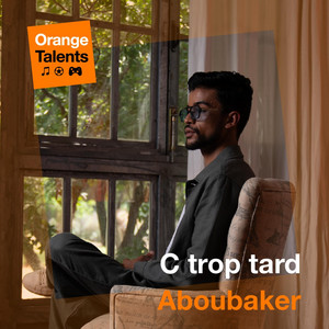 c trop tard by Aboubakr nazih