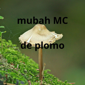 de plomo by Mubah MC