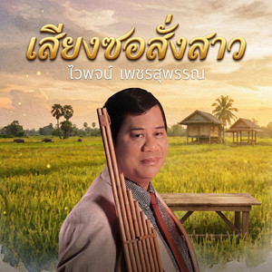 พิณแคนสะกิดสาว by ไวพจน์ เพชรสุพรรณ