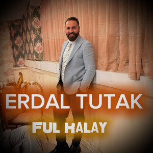Desmal Mor Karışık Halay