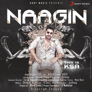 Karan Singh Arora - Naagin