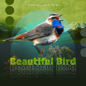 Sheltering Crow by Portal Curtain