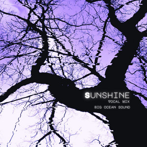 Sunshine - Vocal Mix by Big Ocean Sound