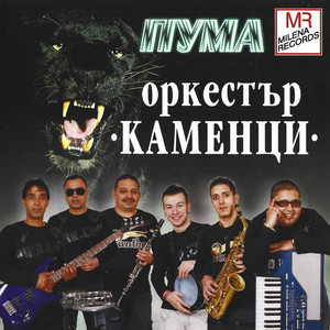Kamenski kuchek