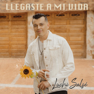 Llegaste a Mi Vida
