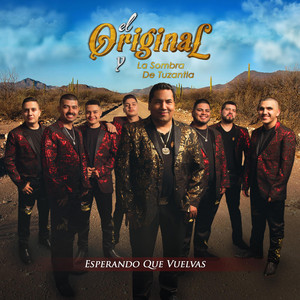 El Original y La Sombra De Tuzantla - Estoy Buscando un Amor