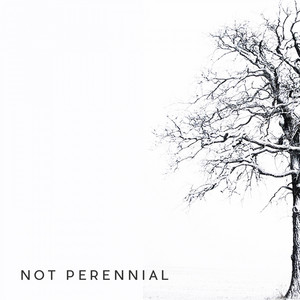 Not Perennial