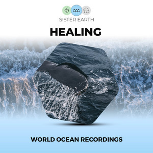 Healing World Ocean Recordings album