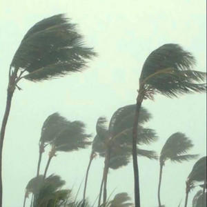 Wind by Bugseed