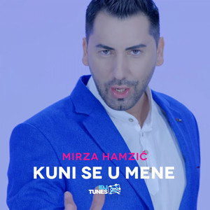 Mirza Hamzic